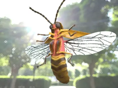 Firefly Insect Low-poly 3D model