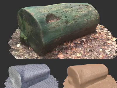 3D sawn of tree part model Low-poly 3D model