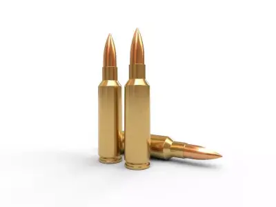 300 Winchester SM Low-poly 3D model