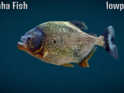 Piranha Fish 3D model