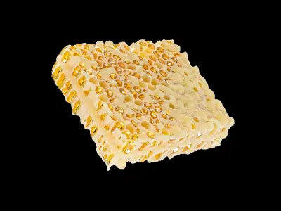 Honeycomb beeswax 3D model