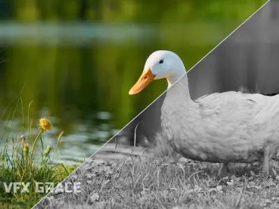 Duck Animated VFX Grace 3D model