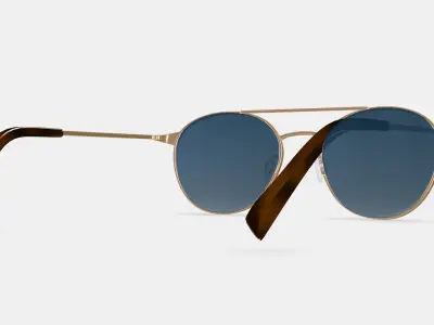 Fisher Sunglasses in Polished Gold 3D model