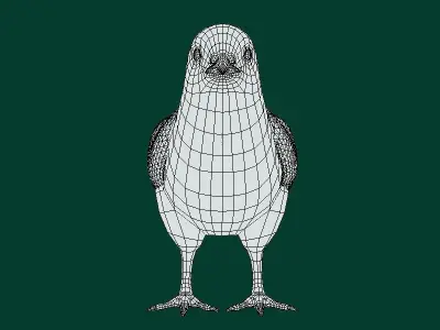 Baby Chicken Animal Low-poly 3D model