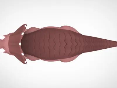 Tria Threehorn 3D model