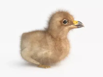  3D Baby Eagle 3D model