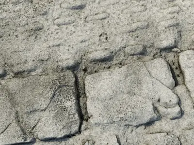 scanminicobble01 close up of cobblestone street 3D model