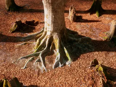 European Beech 07 3D Scanned Animated 3D model
