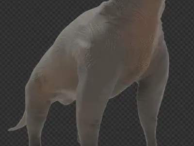 Brachiosaurus dinosaur Low-poly 3D model