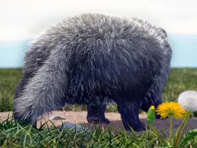 Walking Badger 3D model