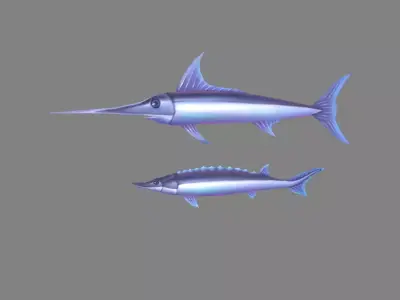 Cartoon fish - Xiphias gladius -marlin Low-poly 3D model