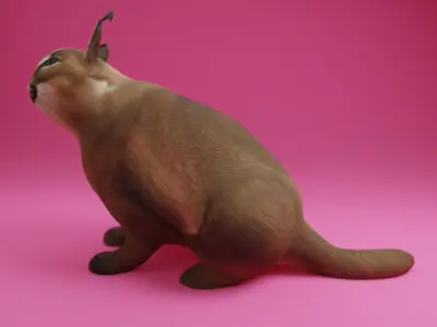 BIG FLOPPA 3D Model Free low-poly 3D model