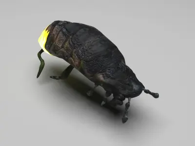 Glow Worm 3D model