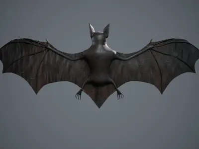 Bat 3D  Low-poly 3D model