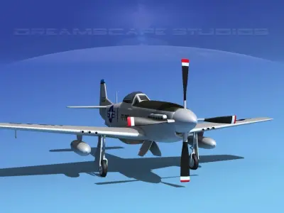 F-51D Mustang USAF 2 3D model