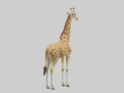 Giraffe grazing model Low-poly 3D model