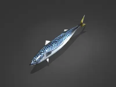Mackerel Fish Low-poly 3D model