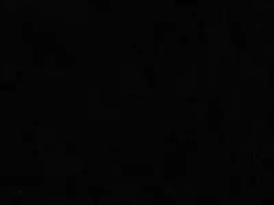 Sweet Cream Kitten - Cute 3D Character Model Low-poly 3D model