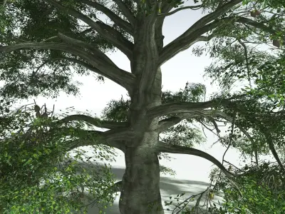 EVERYPlant Idiot Fruit Tree 3D model