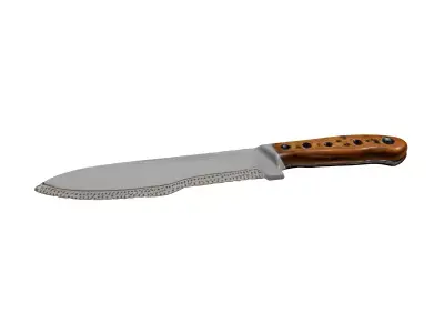 Tactical Outdoor Survival Knife Model 3D model
