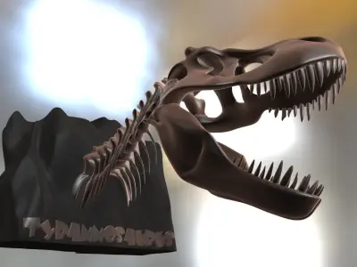 Tyrannosaurus Cranium Low-poly 3D model