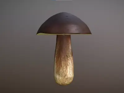 Mushroom - Boletus Edulis Free low-poly 3D model