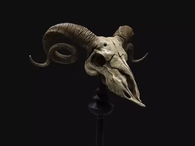 Ram Skull - Lowpoly and Highpoly Low-poly 3D model