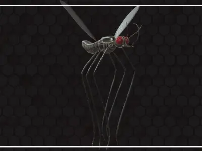 Mosquito with eyes Low-poly 3D model