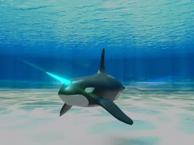 Killer Whale Divine Free low-poly 3D model