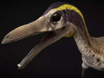 Mononykus Low-poly 3D model