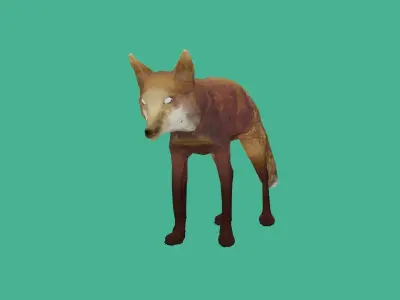 fox lowpoly 3d model 3D model