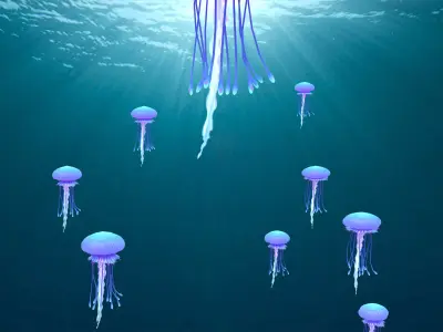 Point Cache animated jellyfish  3D model