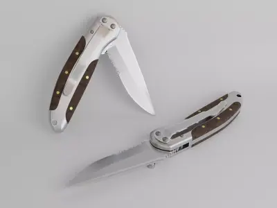 Small Pocket Knife Free 3D model