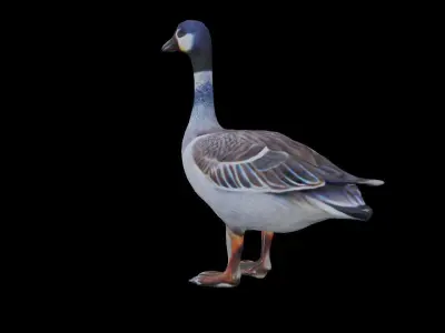 Realistic Goose LOW POLY Low-poly 3D model