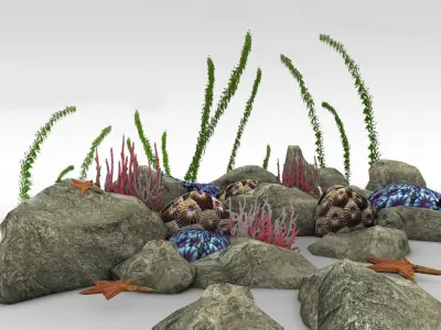 Coral reef low poly Low-poly 3D model