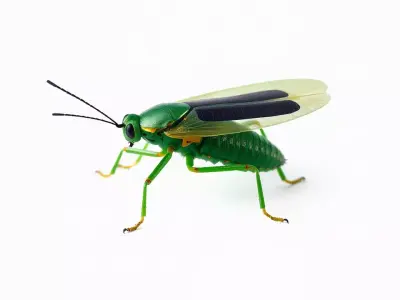 Green Insect Drone model pack Low-poly 3D model