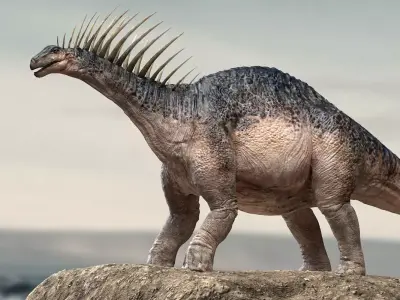 Amargasaurus 3D Rigged model Low-poly 3D model