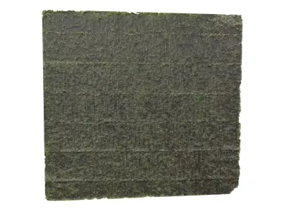 Nori v1 002 Low-poly 3D model