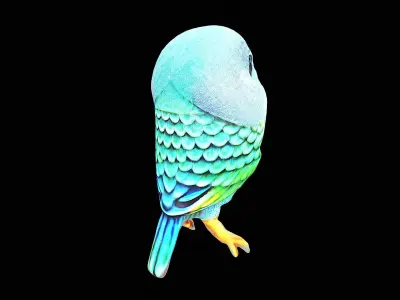 cute little parakeet bird 3D model