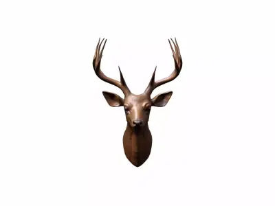  3d Render Close Up Of Red Deer Head 3D model