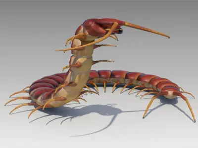 Centipede Low-poly 3D model