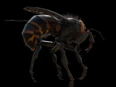 3d animated bee Low-poly 3D model