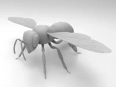 Honey Bee 3D model
