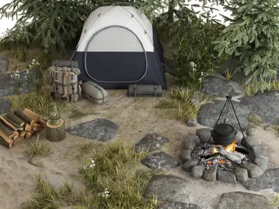 Camping in the Forest 3D model