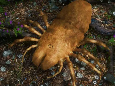 Prehistoric Spider Low-poly 3D model