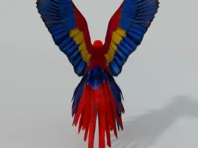 Red Macaw Low-poly 3D model