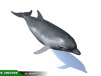 Low-Poly Bottlenose Dolphin Rigged Animated 3D model Low-poly 3D model