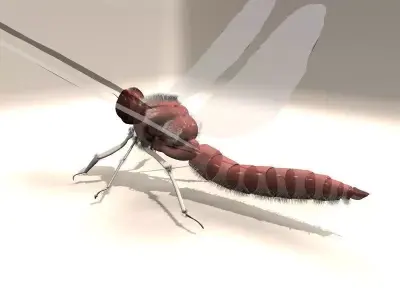 Insect with long tail Low-poly 3D model
