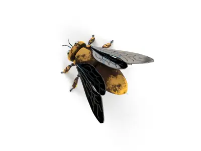 Mechanical bee Low poly model  Low-poly 3D model