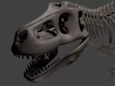 T-Rex skeleton 3D model